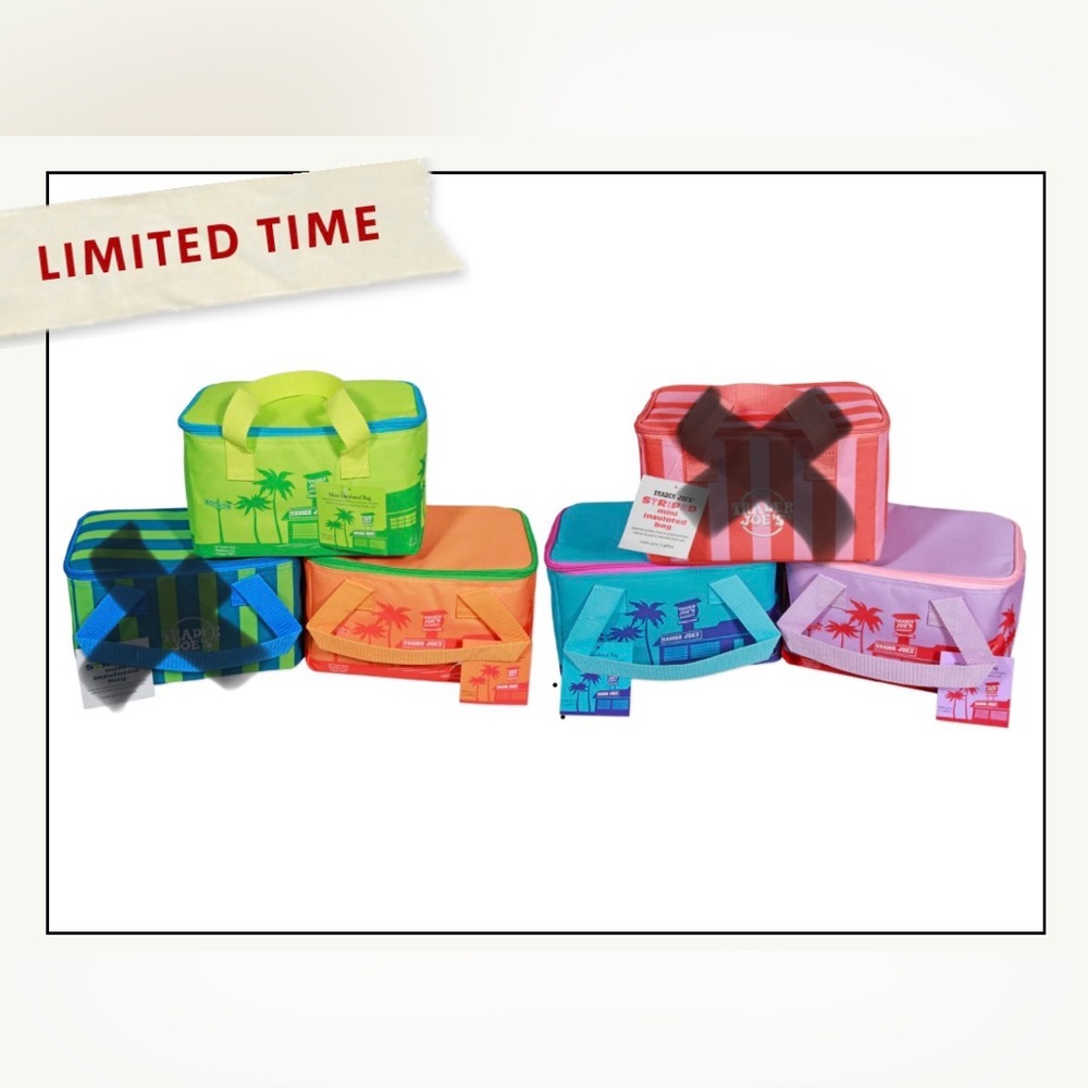 NWT Set of 4 ~ Mini Insulated Tote Summer Collection